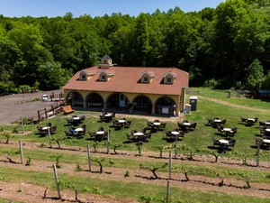 Vineyard Aerial Photo